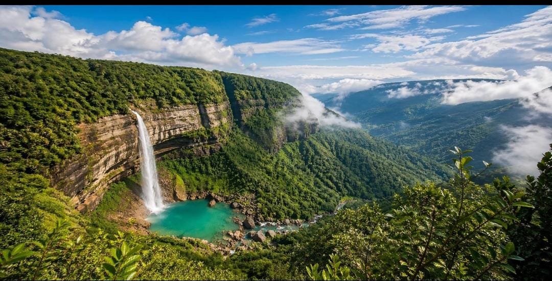 Living root bridge Meghalaya Northeast India